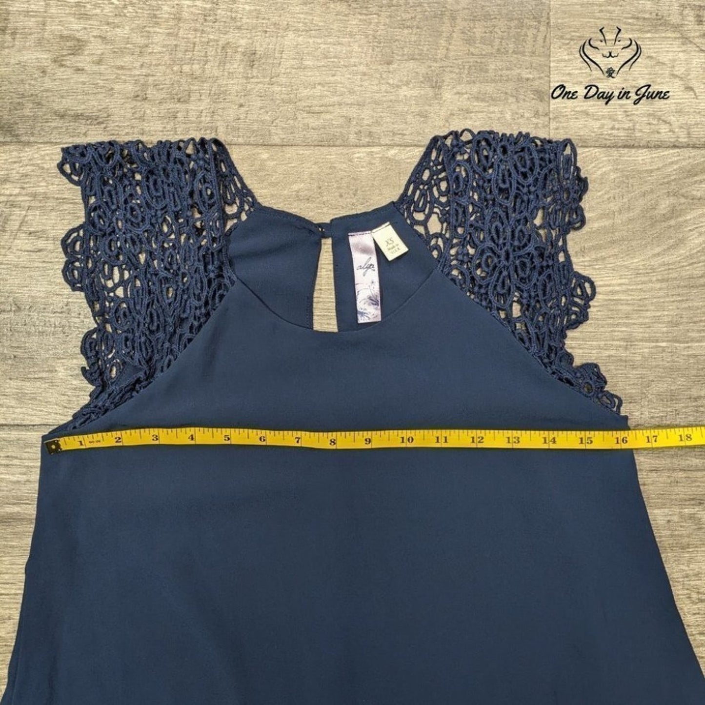 Alya Sleeveless Sheer Lined Mini Dress Size XS