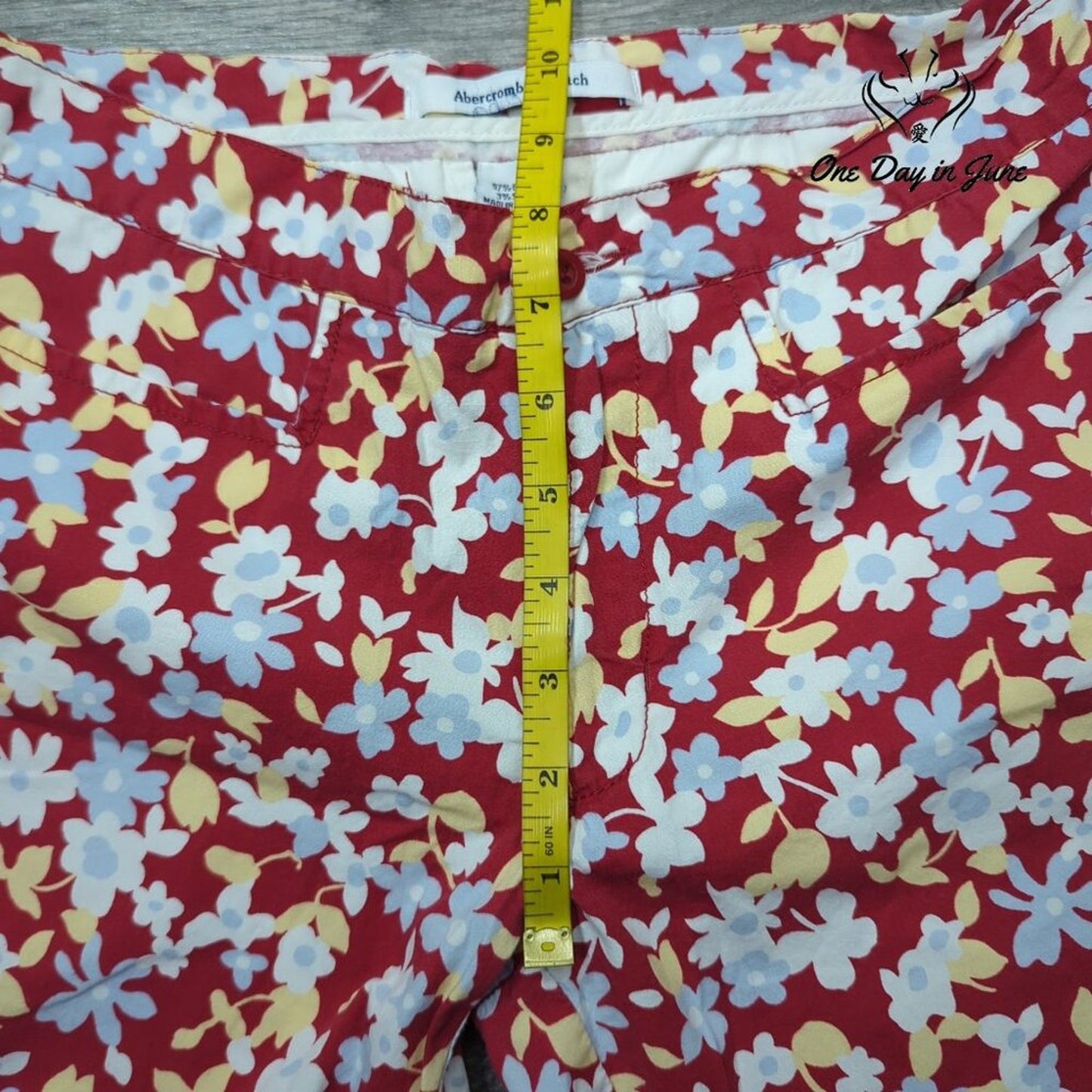 Abercrombie & Fitch Floral Cropped Pants Size 2