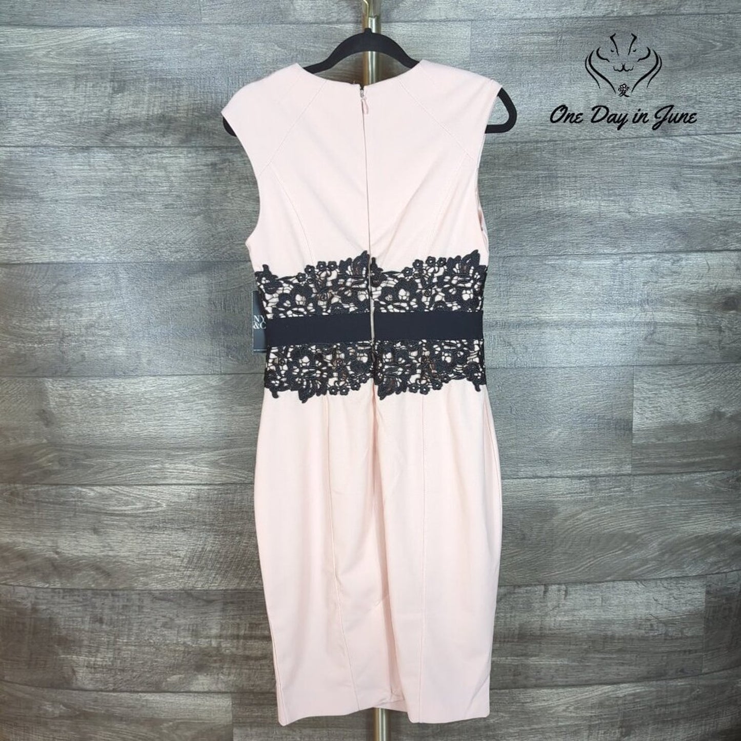 New York & Company Sheath Dress Pink Black Lace Colorblock NWT $79.95 Size S
