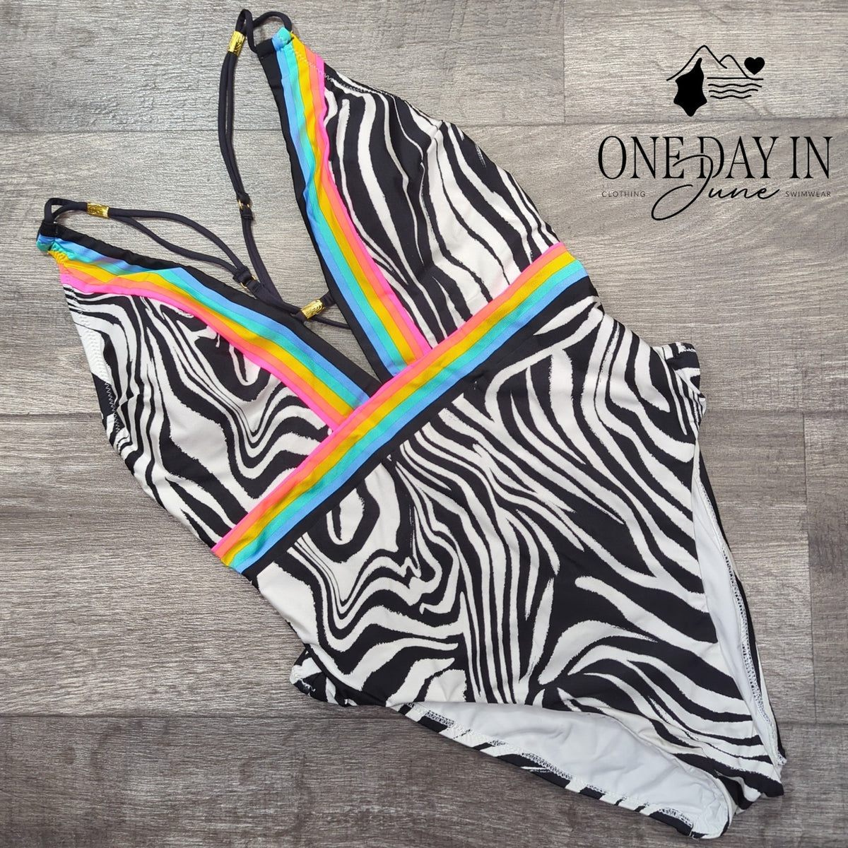 Sunshine 79 Deep V Plunge Zebra Rainbow One Piece Swimsuit NWT $162 Size 10