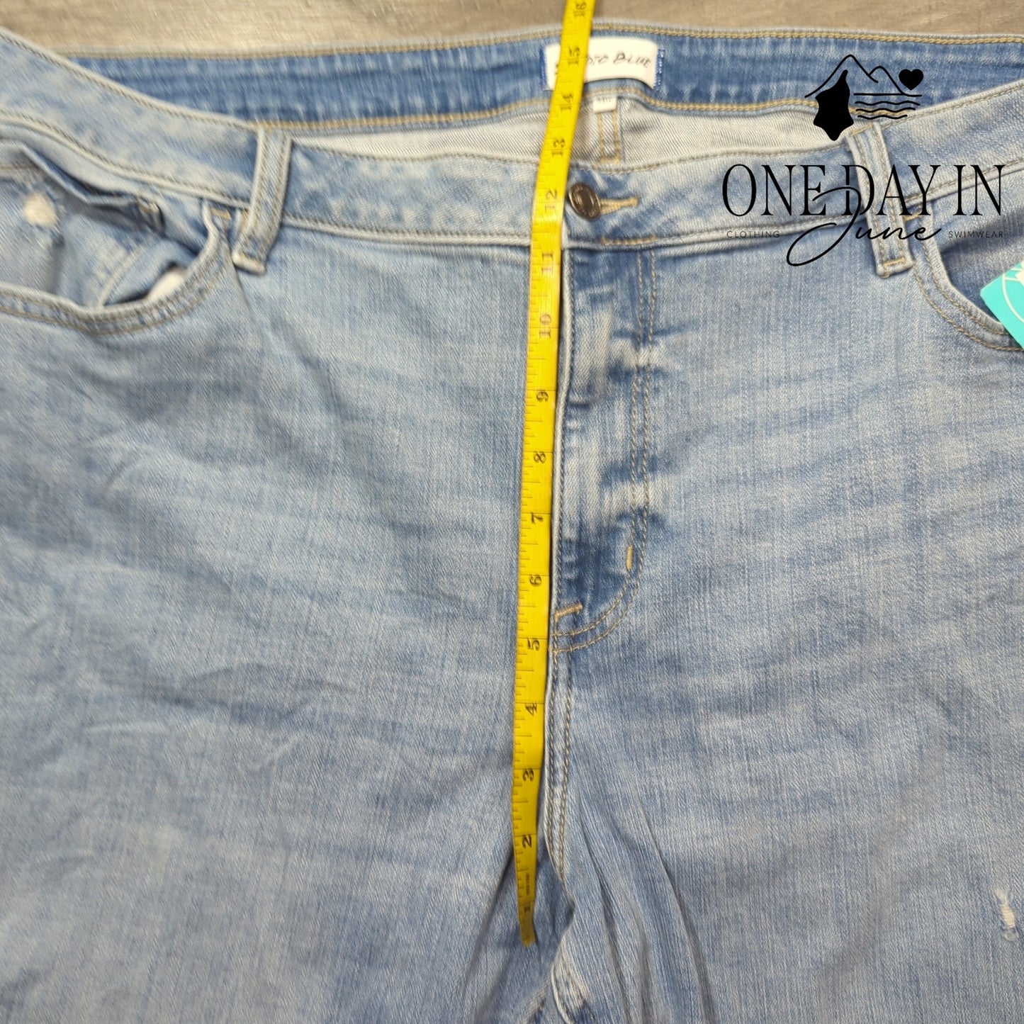 Studio Blue Plus Size Casey Mid Rise Distressed Skinny Jeans Size 24W