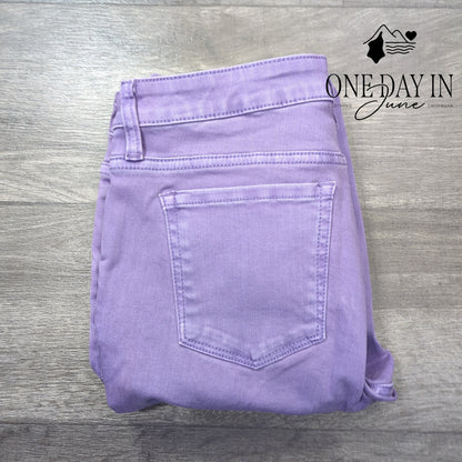 Wash Lab Fay Mid Rise Skinny Jeans Purple Gem NWT Size 10 (30)