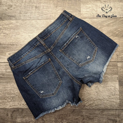 Rewash Girlfriend Denim Shorts Size 2