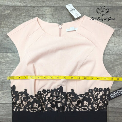 New York & Company Sheath Dress Pink Black Lace Colorblock NWT $79.95 Size S