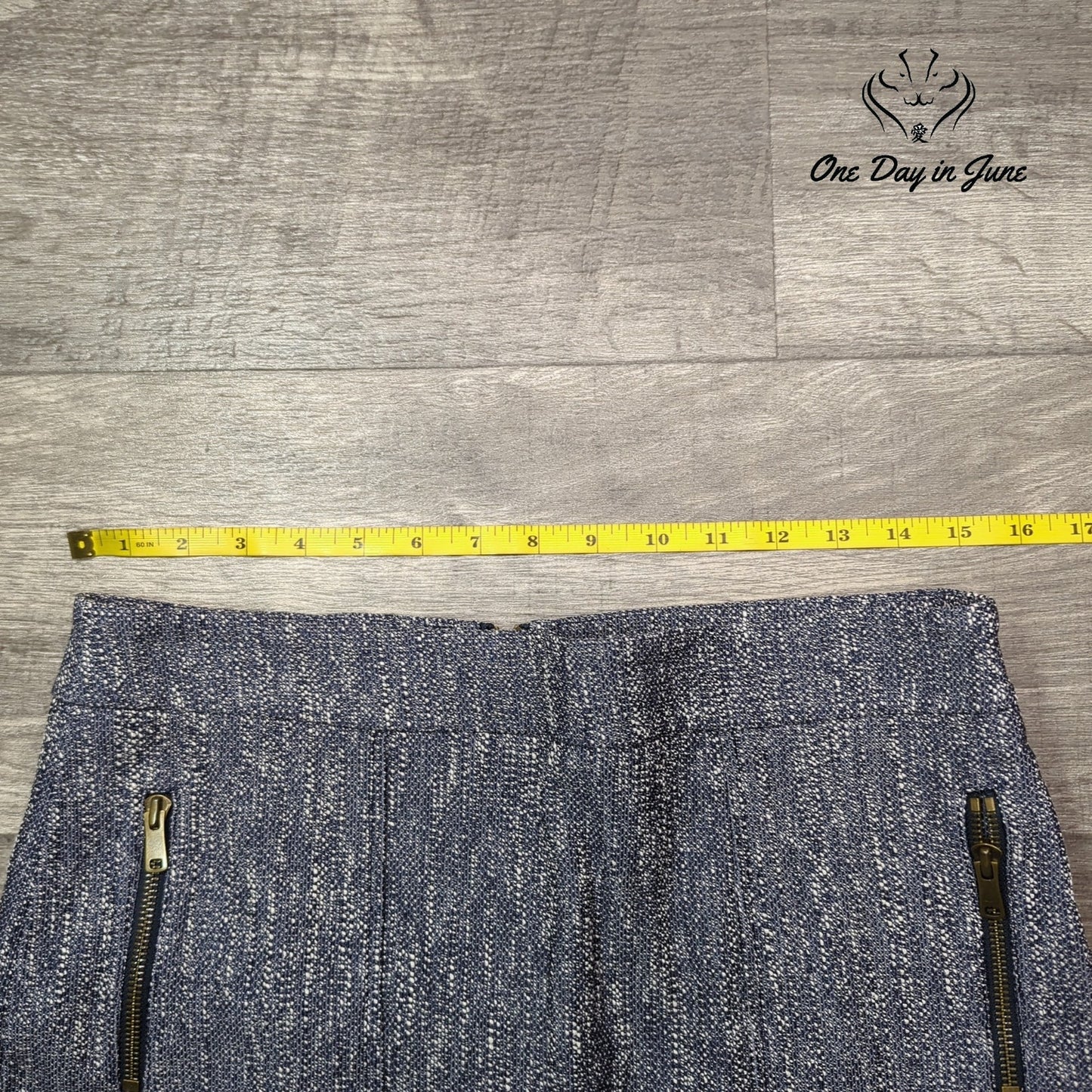 Ann Taylor Petite Mini Skirt Size 10P