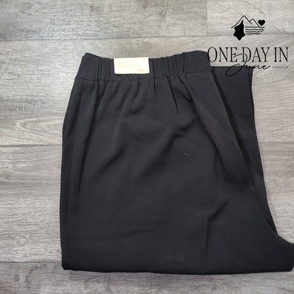 Requirements Plus Size Wide Leg Pants Size 16W