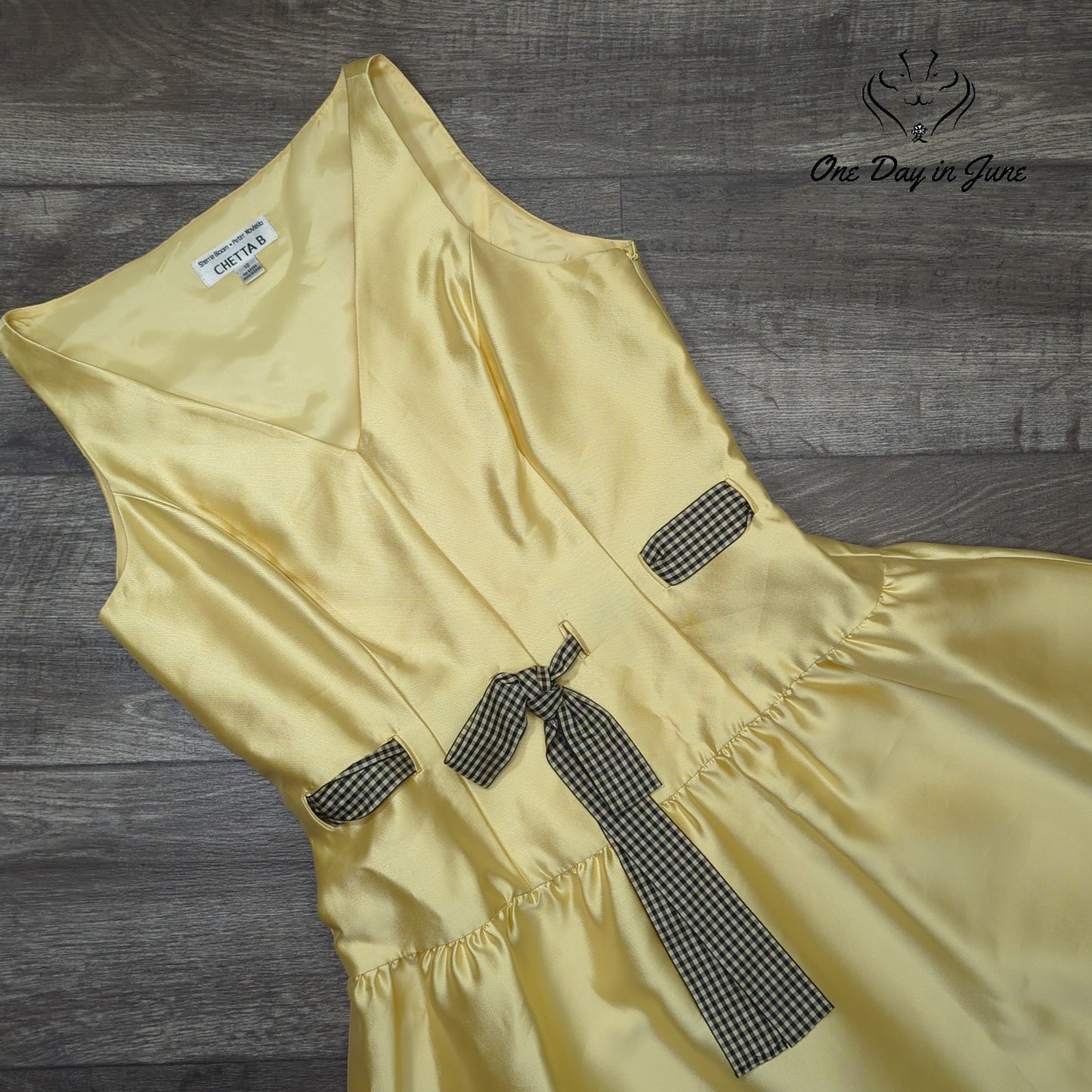 Chetta B A Line Silk Dress Size 12