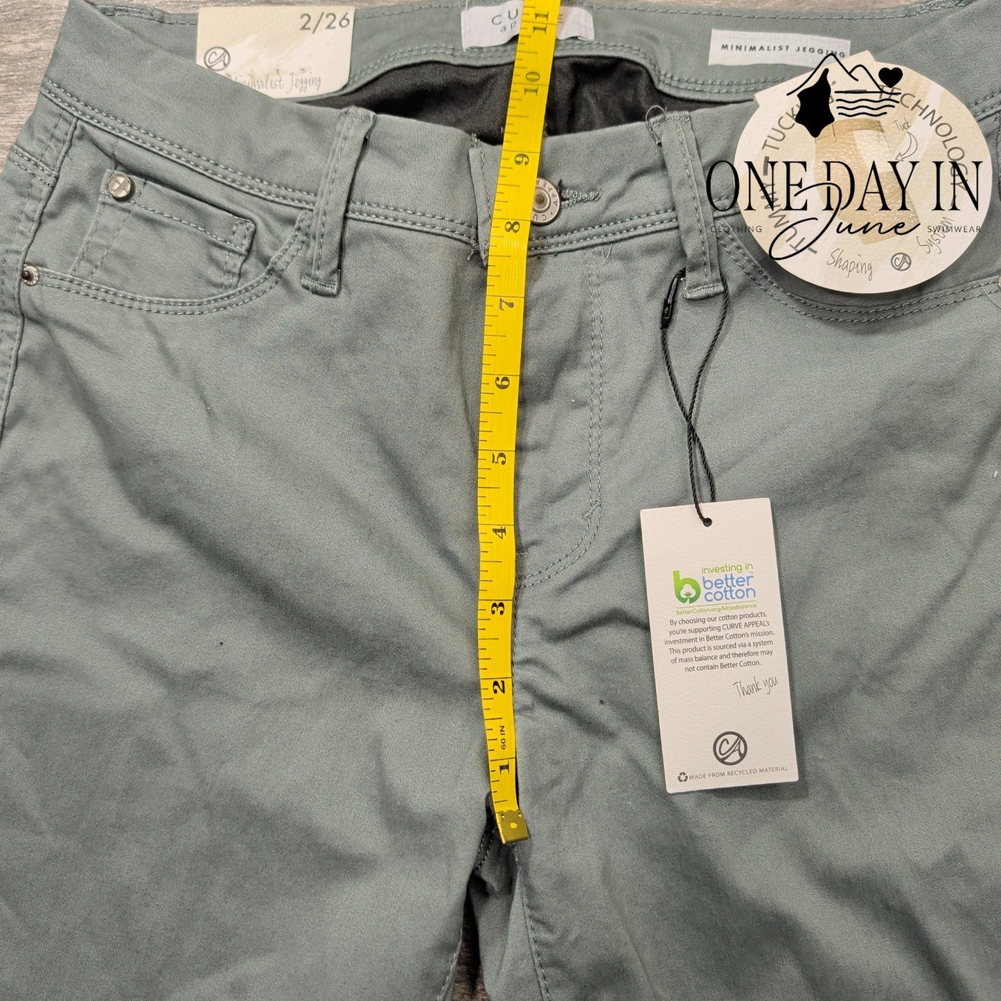 Curve Appeal Minimalist Jegging Jeans Size 2