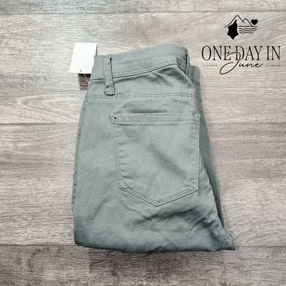 Curve Appeal Minimalist Jegging Jeans Size 2