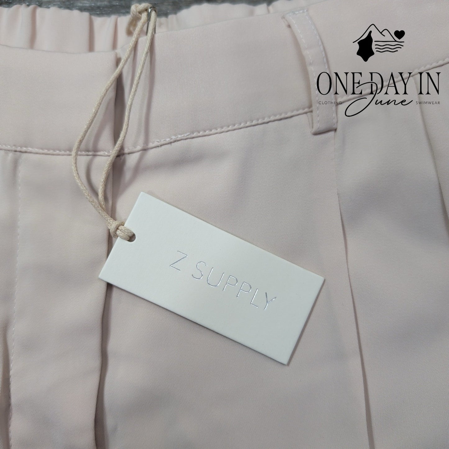 Z Supply Pleated Dress Pants Blush Pink Straight Leg NWT Size M