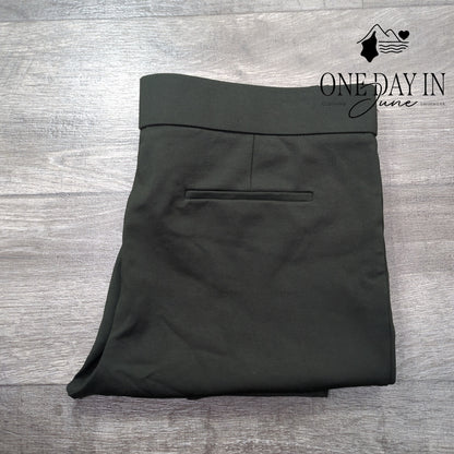 Ann Taylor Side Zip Ankle Pants Size 18