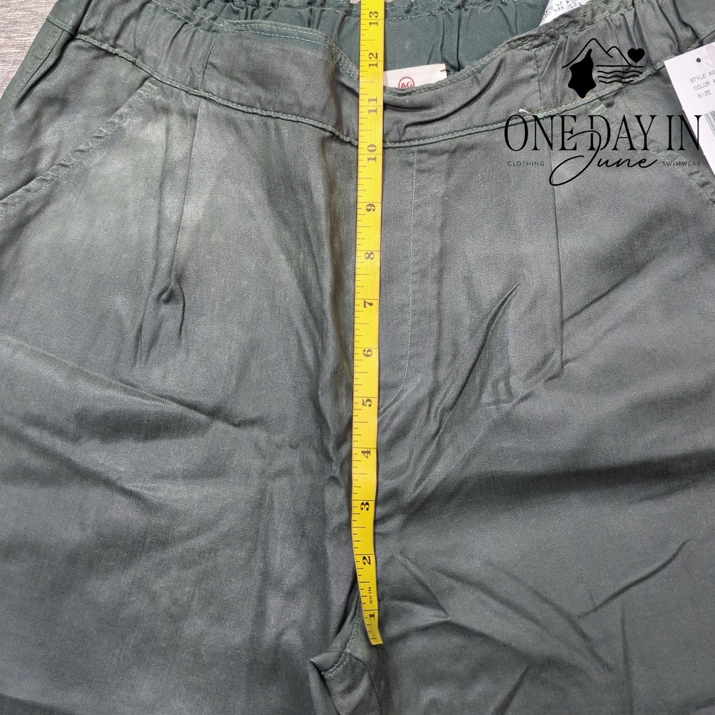 Adriano Goldschmied Pull On Coated Ankle Pants Size 27 (4)