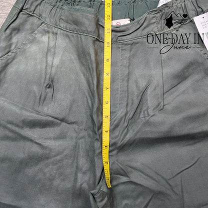 Adriano Goldschmied Pull On Coated Ankle Pants Size 27 (4)