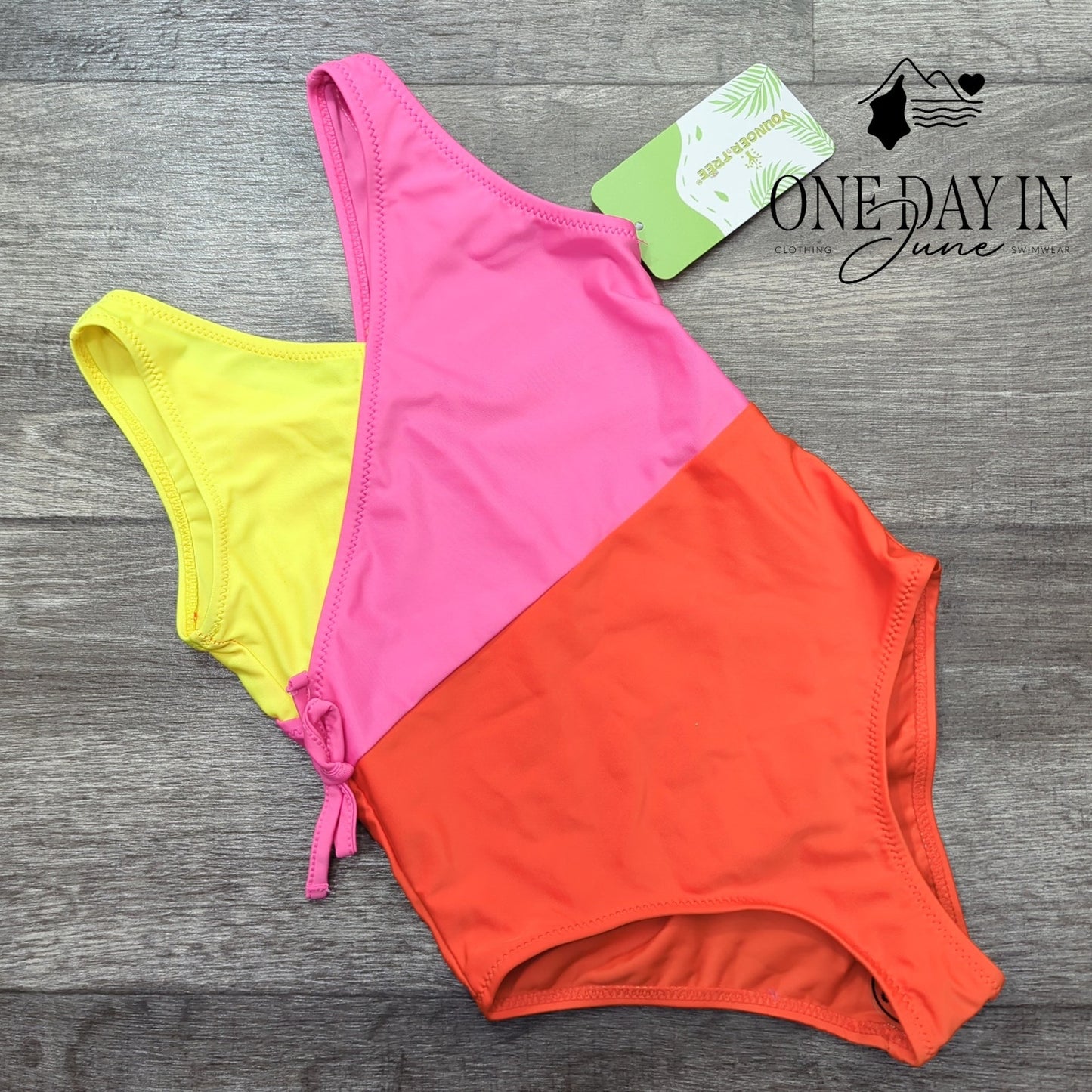 Youngertree Girl's Colorblock One Piece Swimsuit Size 5-6T