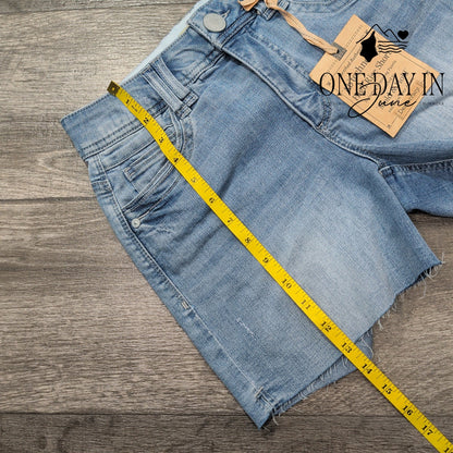 Democracy High Rise Denim Shorts Size 2