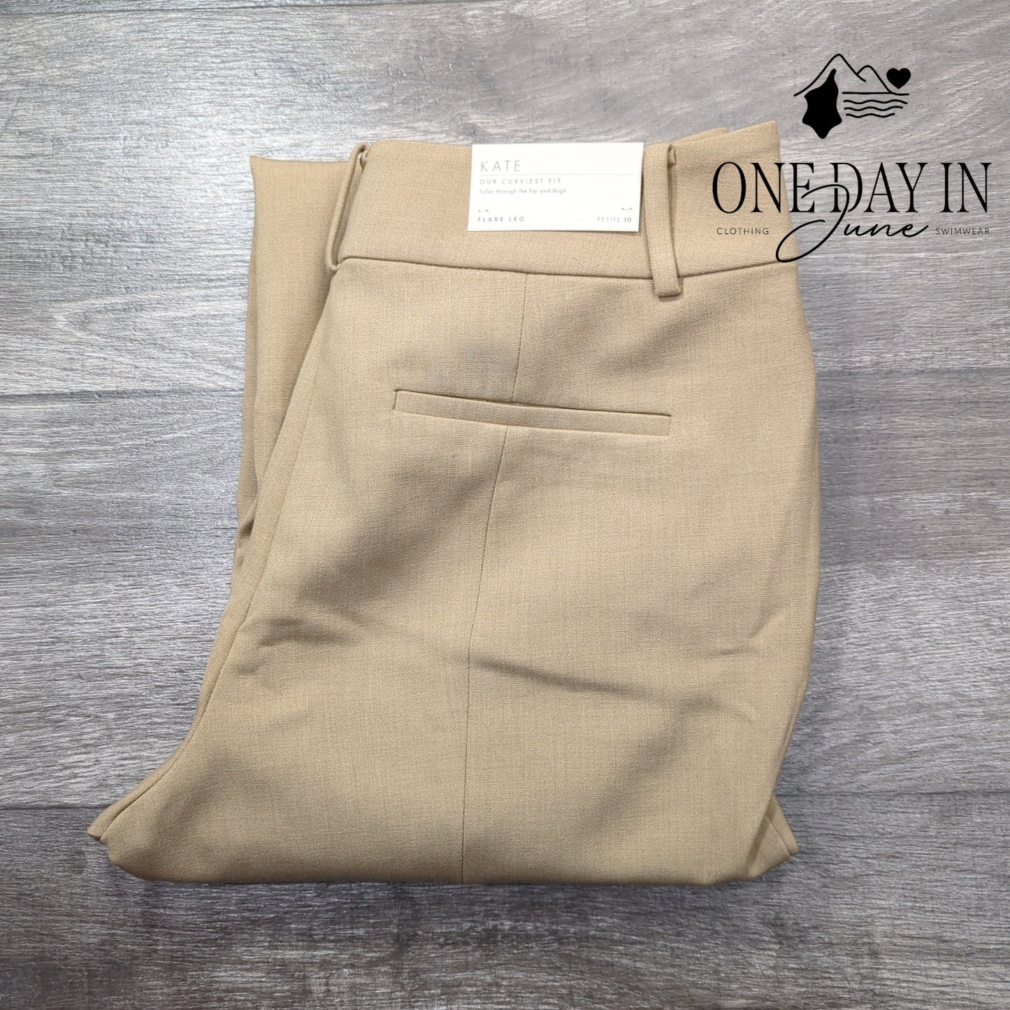 Ann Taylor Kate Fit Flare Leg Pants Size 10P