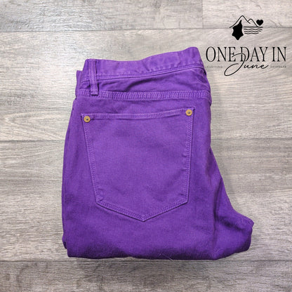 Madewell Skinny Ankle Zip Jeans Purple Stretch Denim NWT Size 10