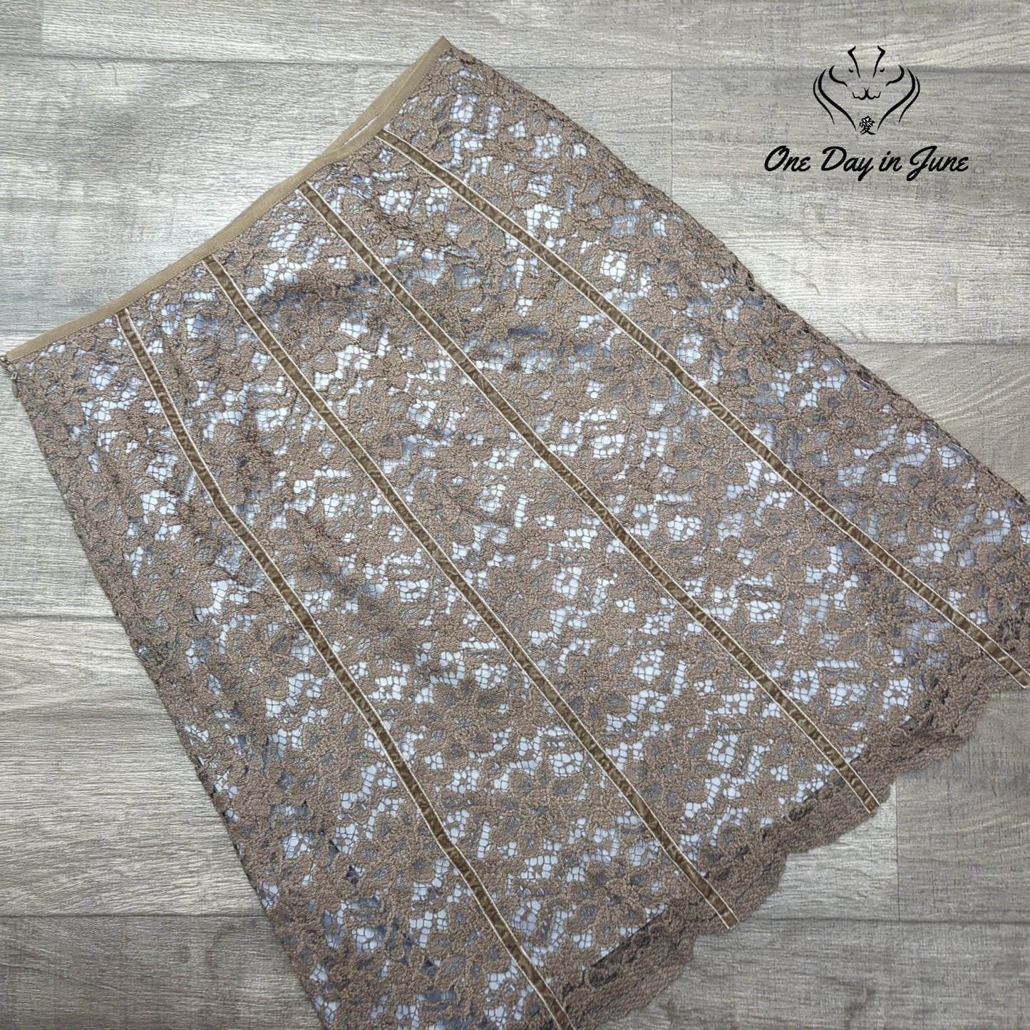 Loft Studio Lace Layered Skirt Size 10