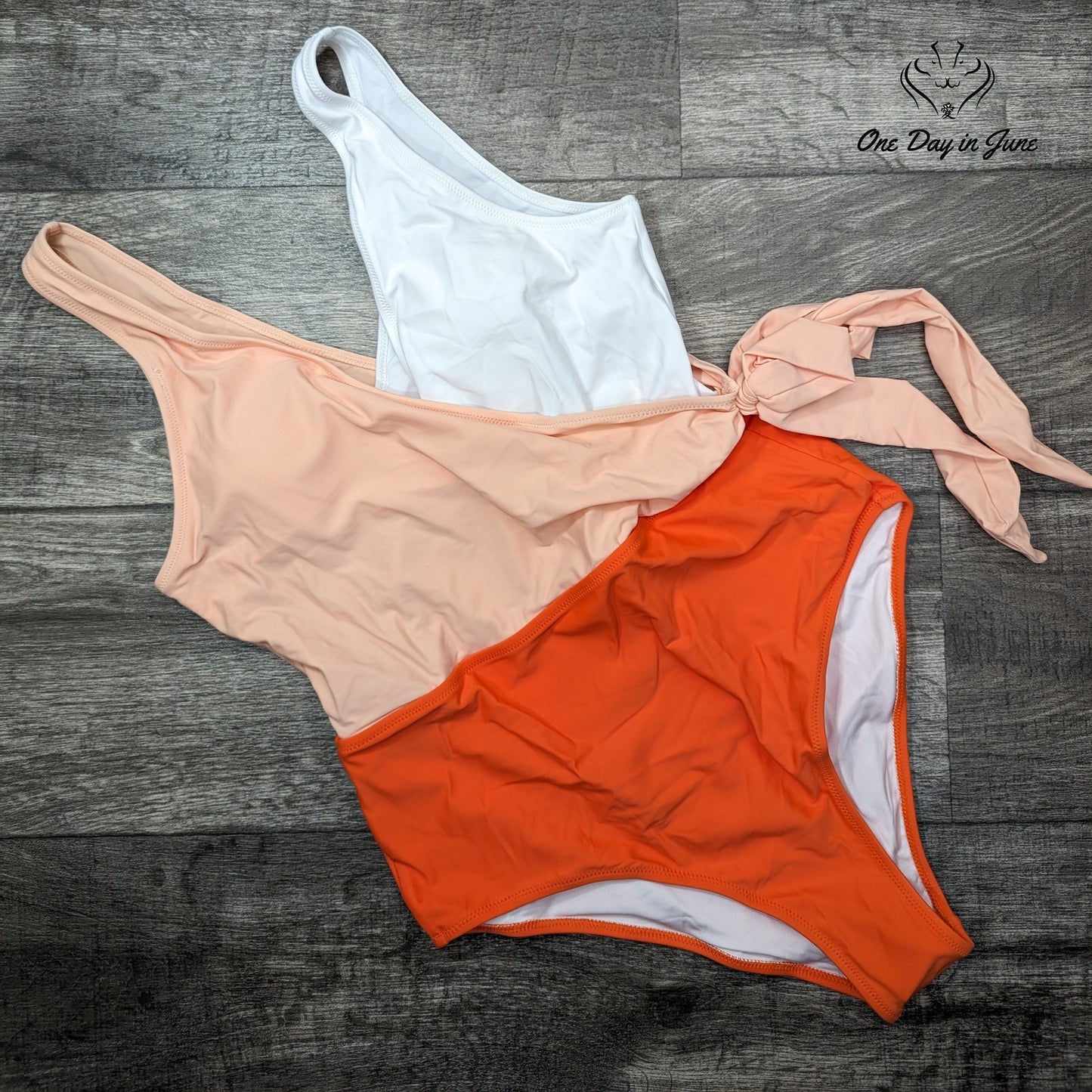 Felnart V Neck Colorblock One Piece Swimsuit Size L