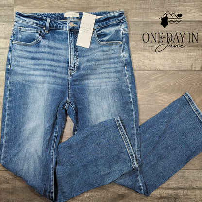 Risen Tummy Control Straight Leg Jeans Size 1X