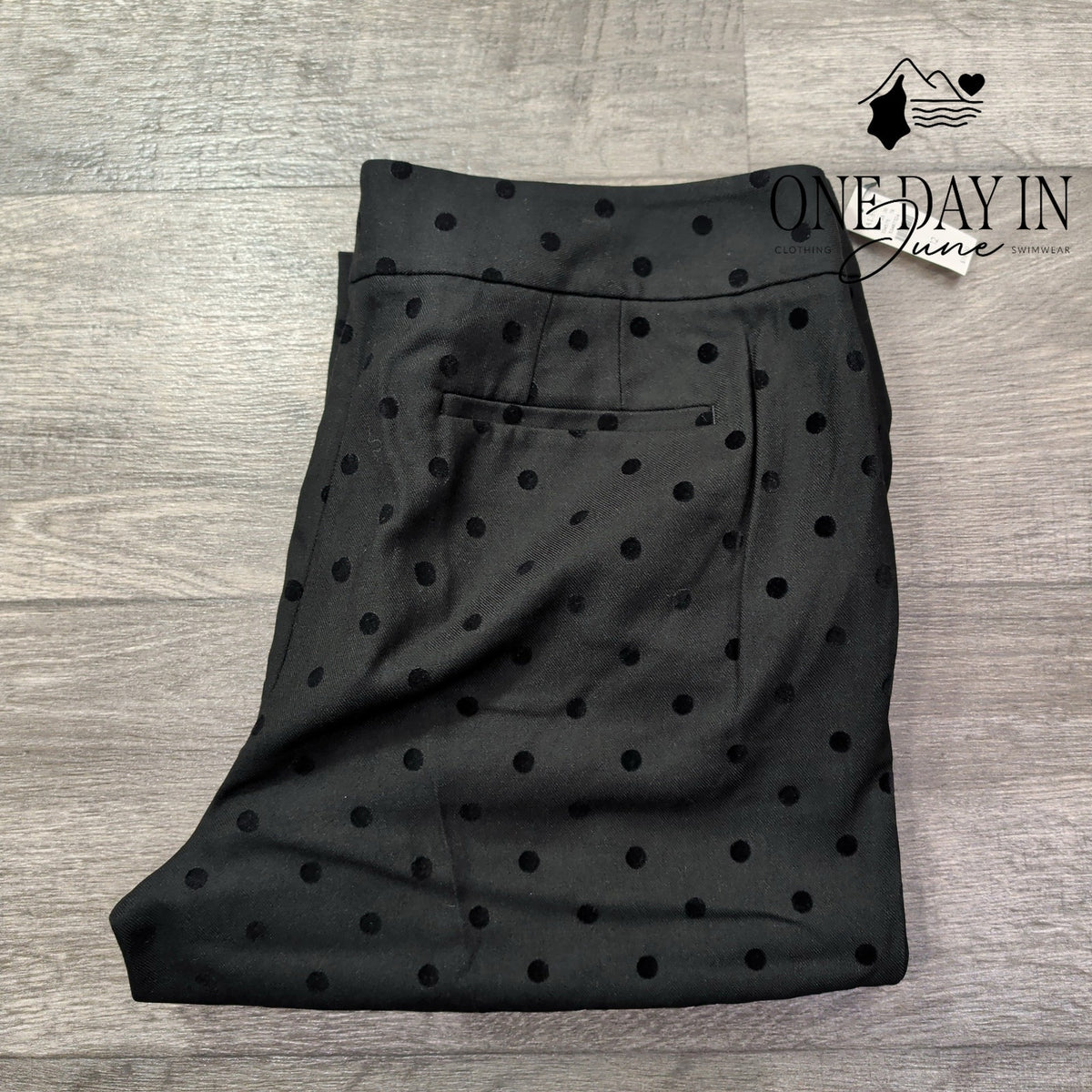 Talbots Hampshire Ankle Pants Black Flocked Polka Dot Straight Leg NWT Size 12