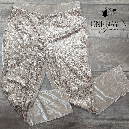 Chico's The Ultimate Fit Ankle Sequin Pants Size Chico's 1 (8)
