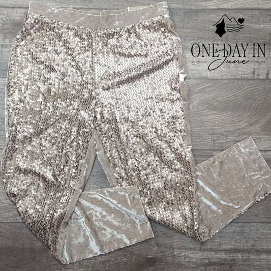 Chico's The Ultimate Fit Ankle Sequin Pants Size Chico's 1 (8)