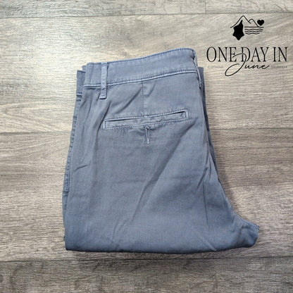 AG Adriano Goldschmied The Caden Tailored Trouser Pants Slate Blue NWT Size 4