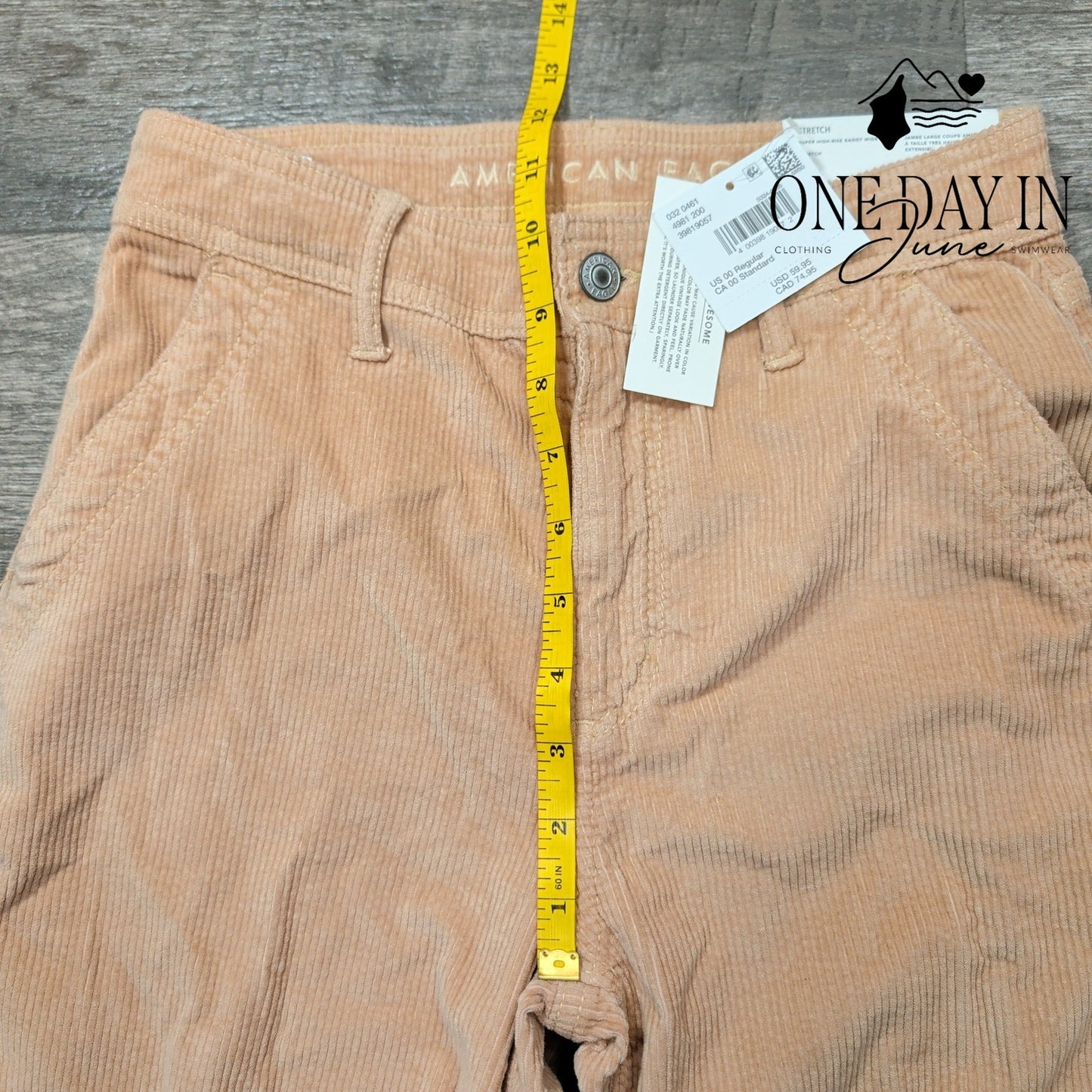American Eagle Outfitters Super High Rise Baggy Wide Leg Pants Size 00