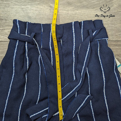 The Limited Navy Stripe May Fashion Shorts Size 4