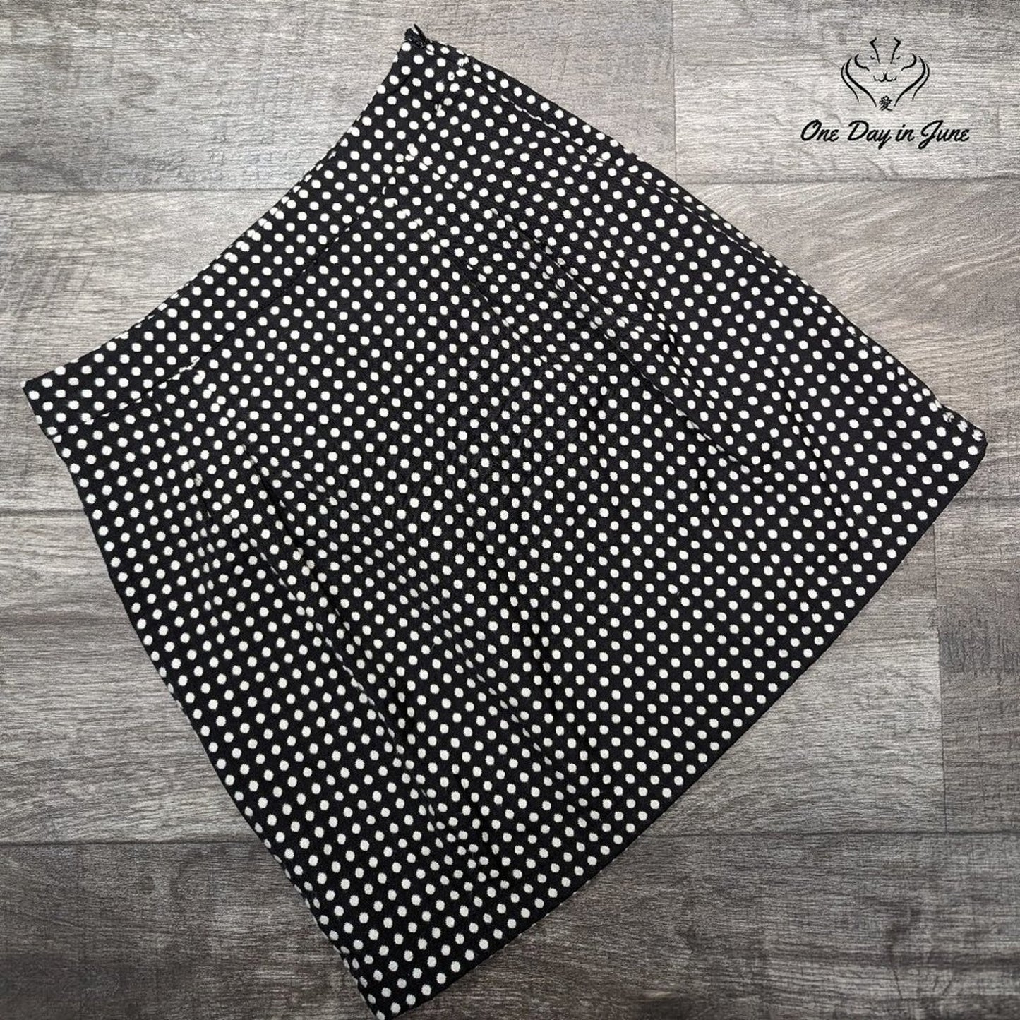 The Limited Polka Dot Lined Mini Skirt Size 2