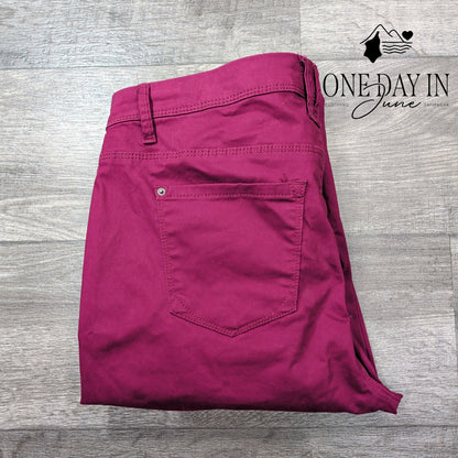 Curve Appeal Minimalist Jegging Jeans Size 16