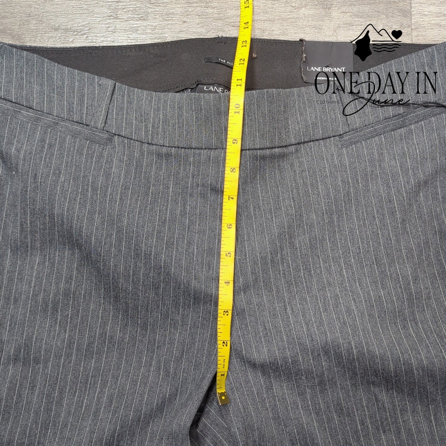 Lane Bryant The Allie Pin Striped Ankle Pants Size 18