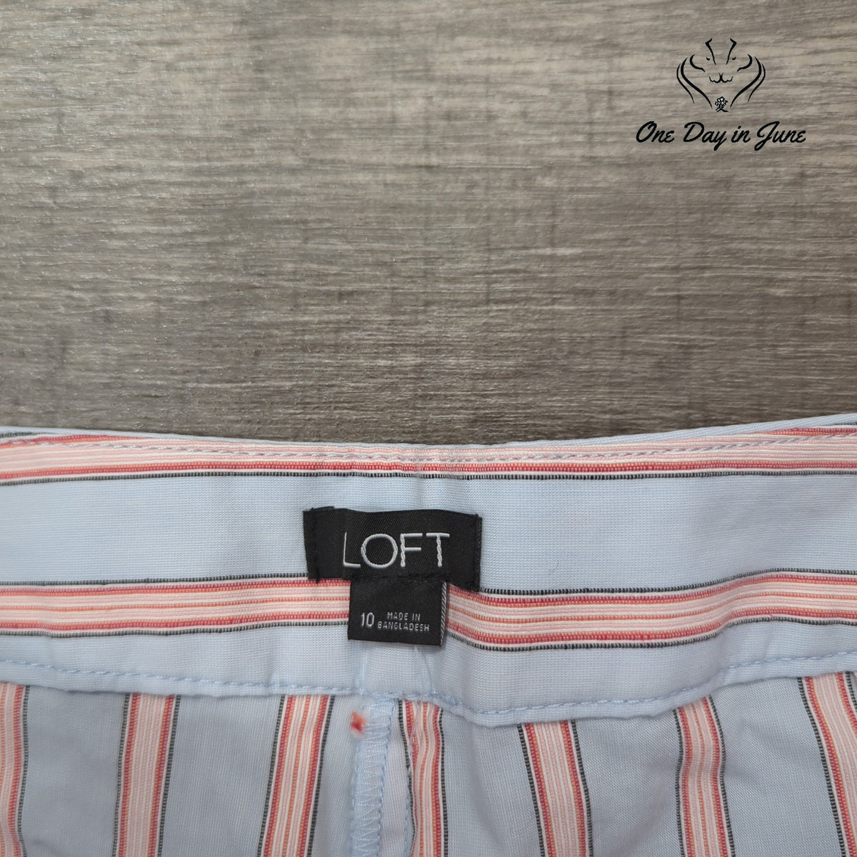 Loft Womens Ruffle Front Striped Shorts Blue Coral Side Zip Size 10
