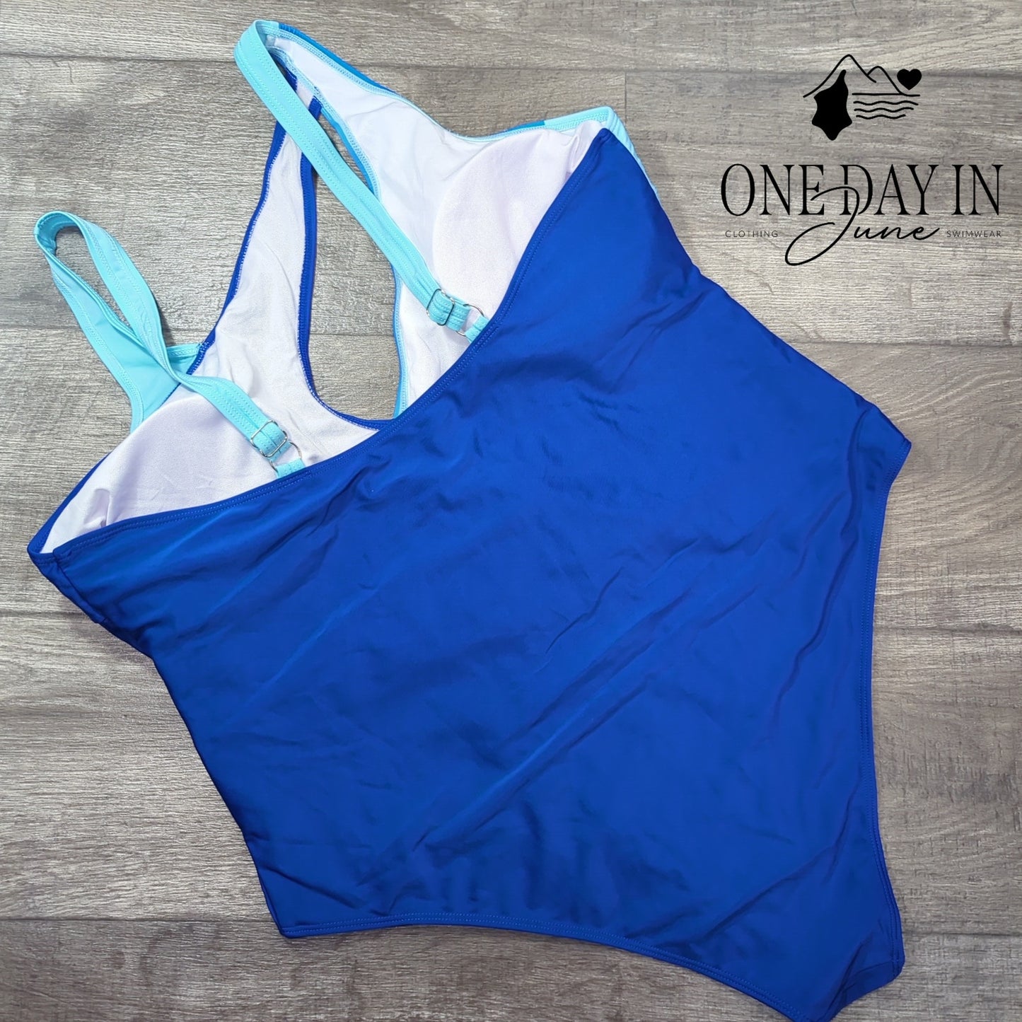 CharmLeaks Plus Size One Piece Swimsuit Size 4XL