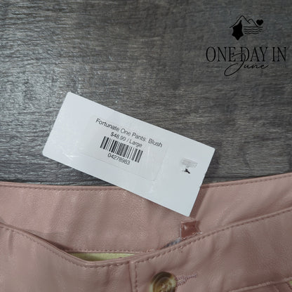 Bailey Rose Fortunate One Faux Leather Pants Size L