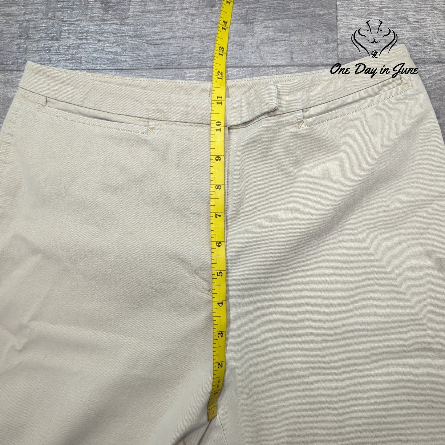 Ann Taylor Cropped Pants Size 6