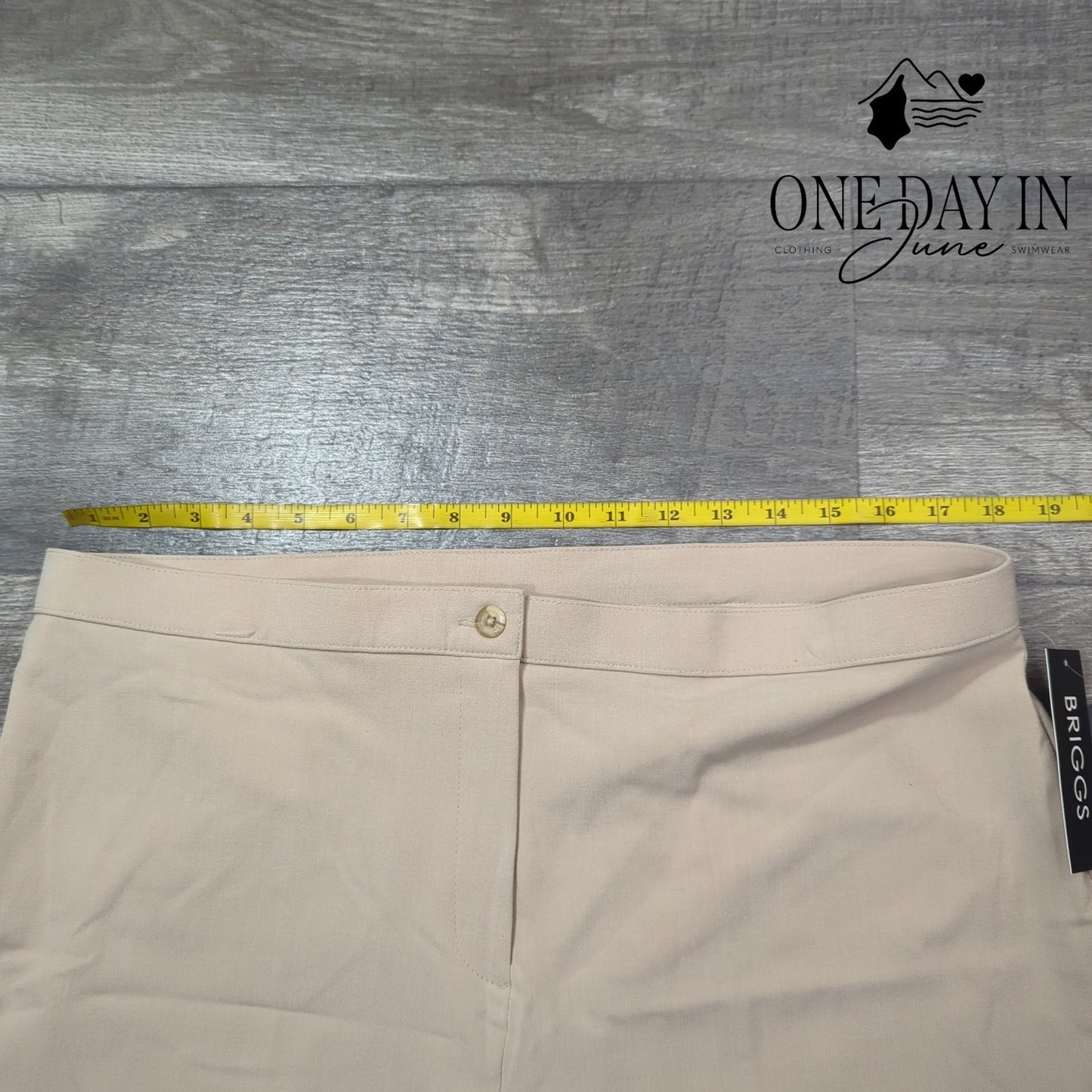 Briggs New York Tummy Flattening Straight Leg Pants Size 16