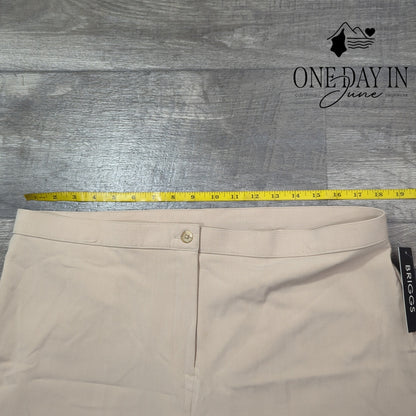 Briggs New York Tummy Flattening Straight Leg Pants Size 16