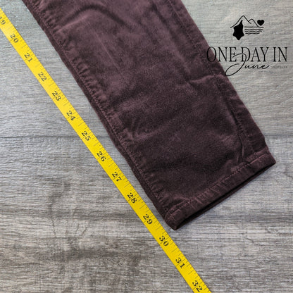 AG Adriano Goldschmied Farrah High Rise Skinny Jeans Burgundy NWT Size 2 (26)