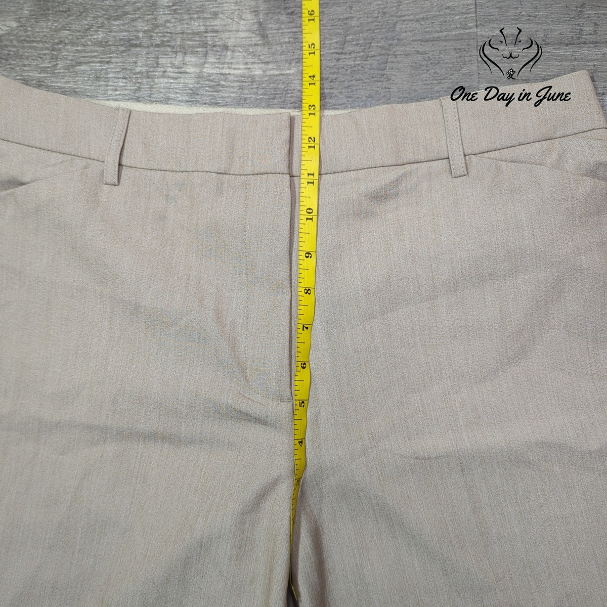Kim Rogers Fit Solutions Comfort Waist Dress Pants Beige Tan NWT Size 14