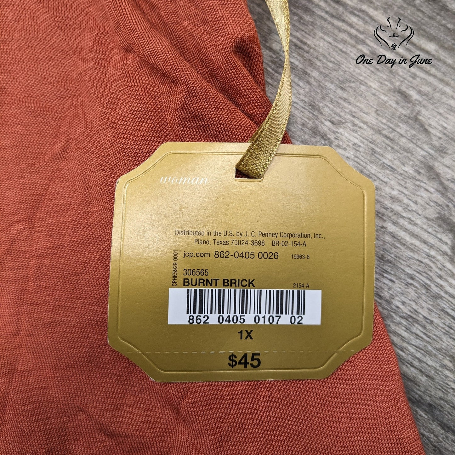 Ryegrass Burnt Brick Long Sleeve Top Size 1X