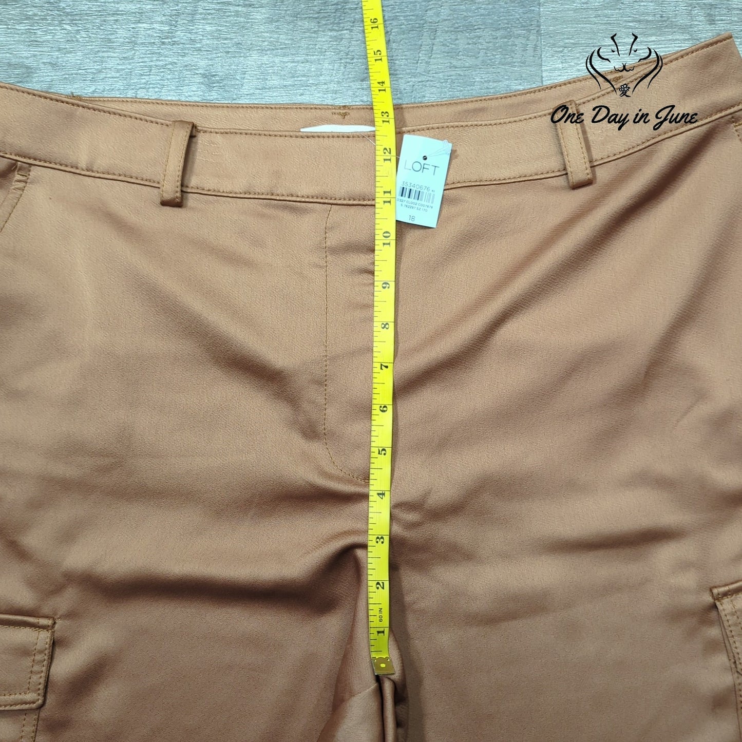 Loft Petite Cropped Pants Size 18P