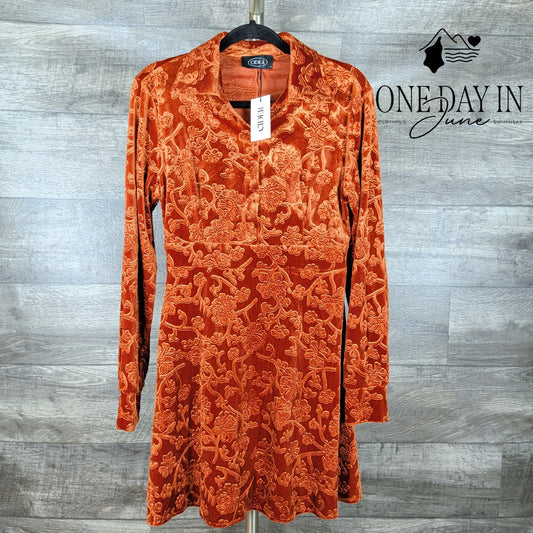 Cider Velvateen Long Sleeve Mini Dress Size L