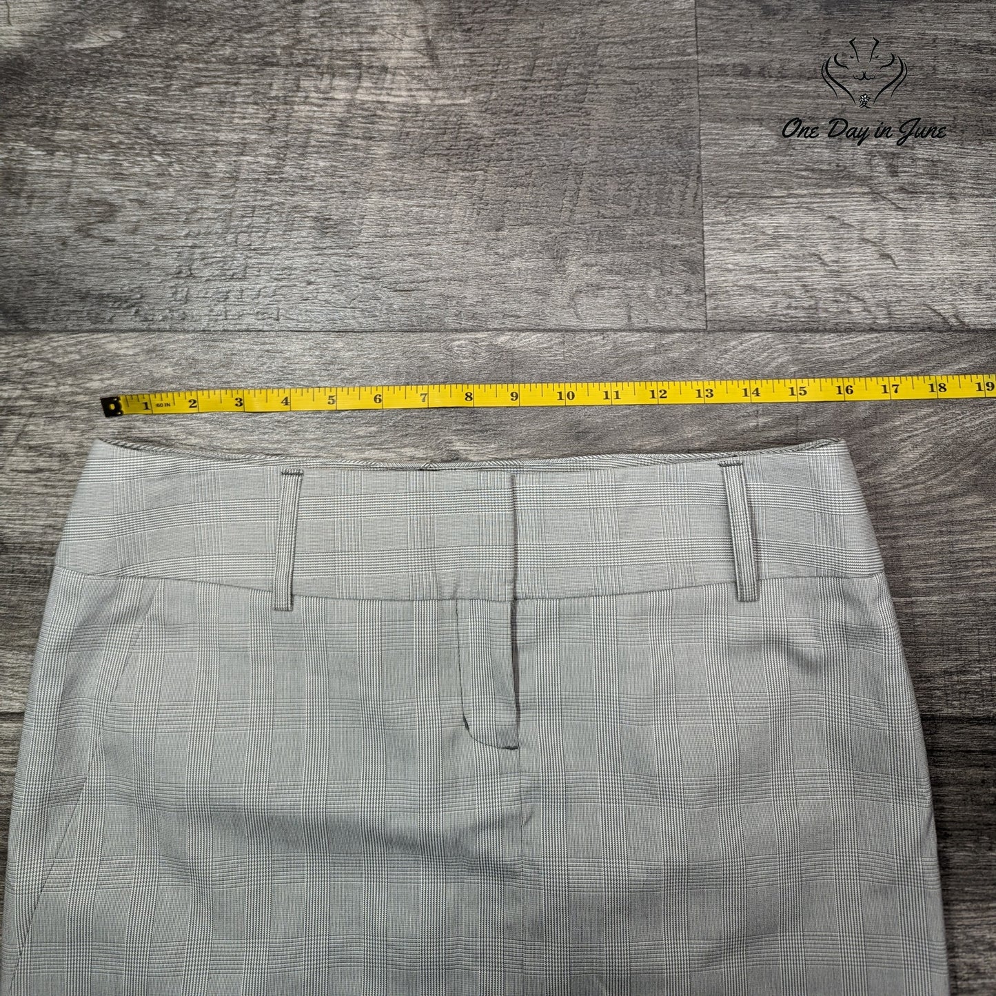 Express Pencil Skirt Size 6