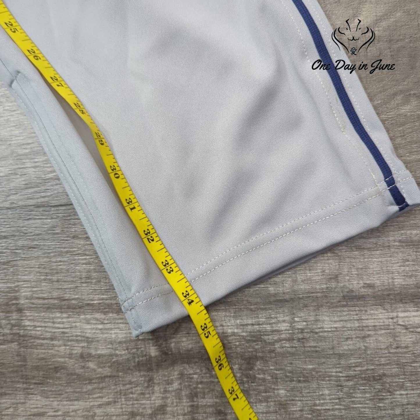 Champro Baseball Pants Size XL