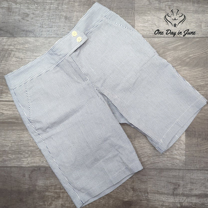 Talbots Petite Striped Flat Front Shorts Size 4P
