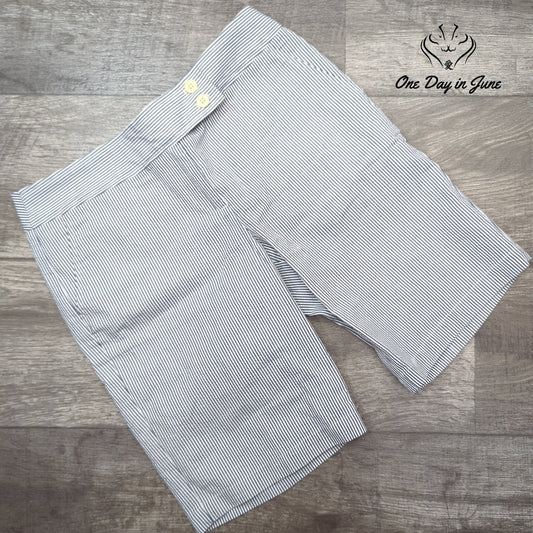 Talbots Petite Striped Flat Front Shorts Size 4P