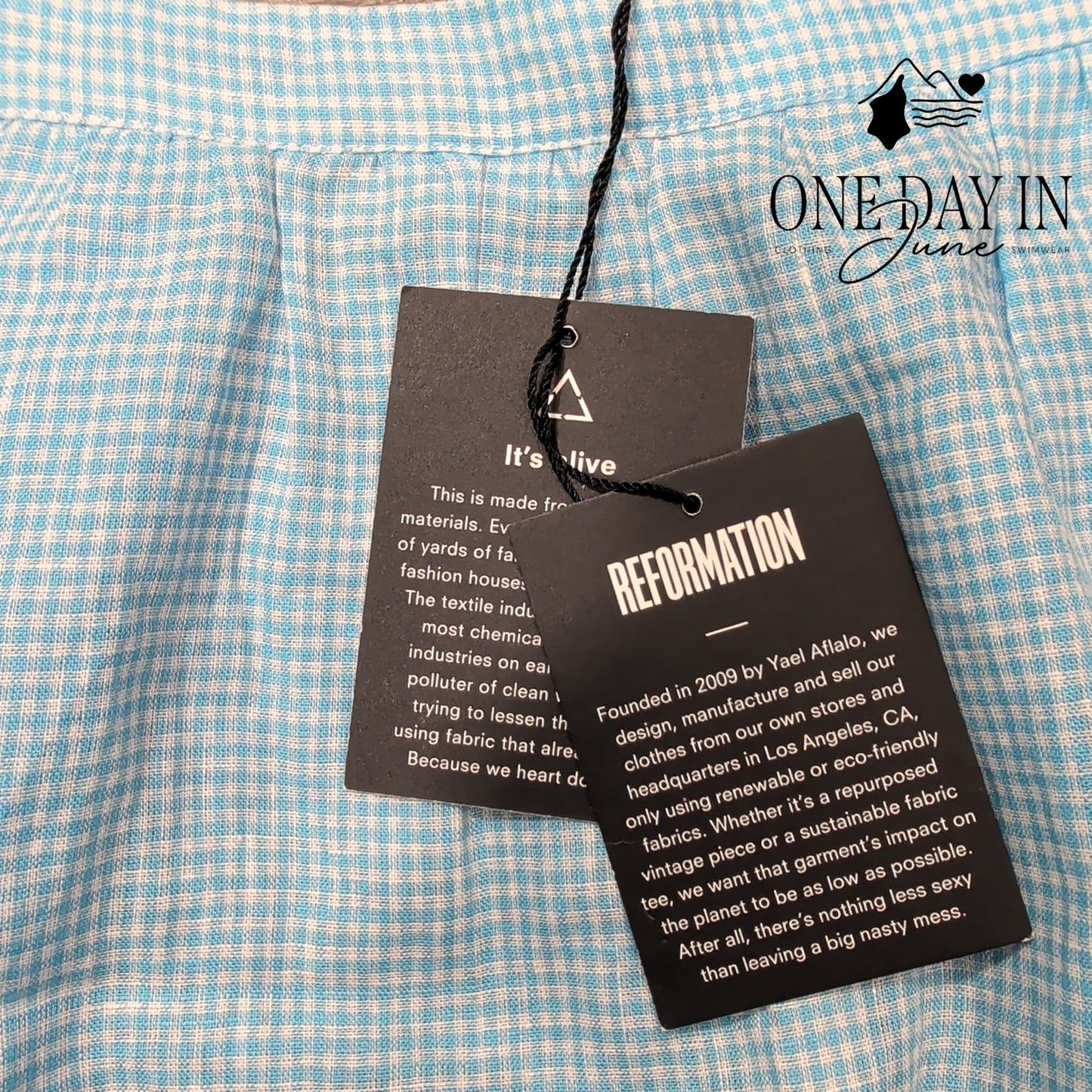 Reformation Torta Chesapeake Gingham Midi Skirt Blue White NWT $198 Size 0