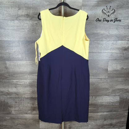 Black Label by Evan Picone Plus Size Sleeveless Dress Size 18